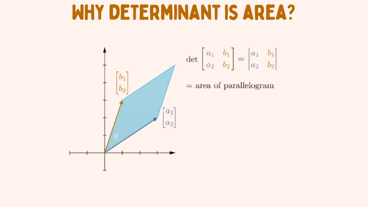 Why determinant is area?