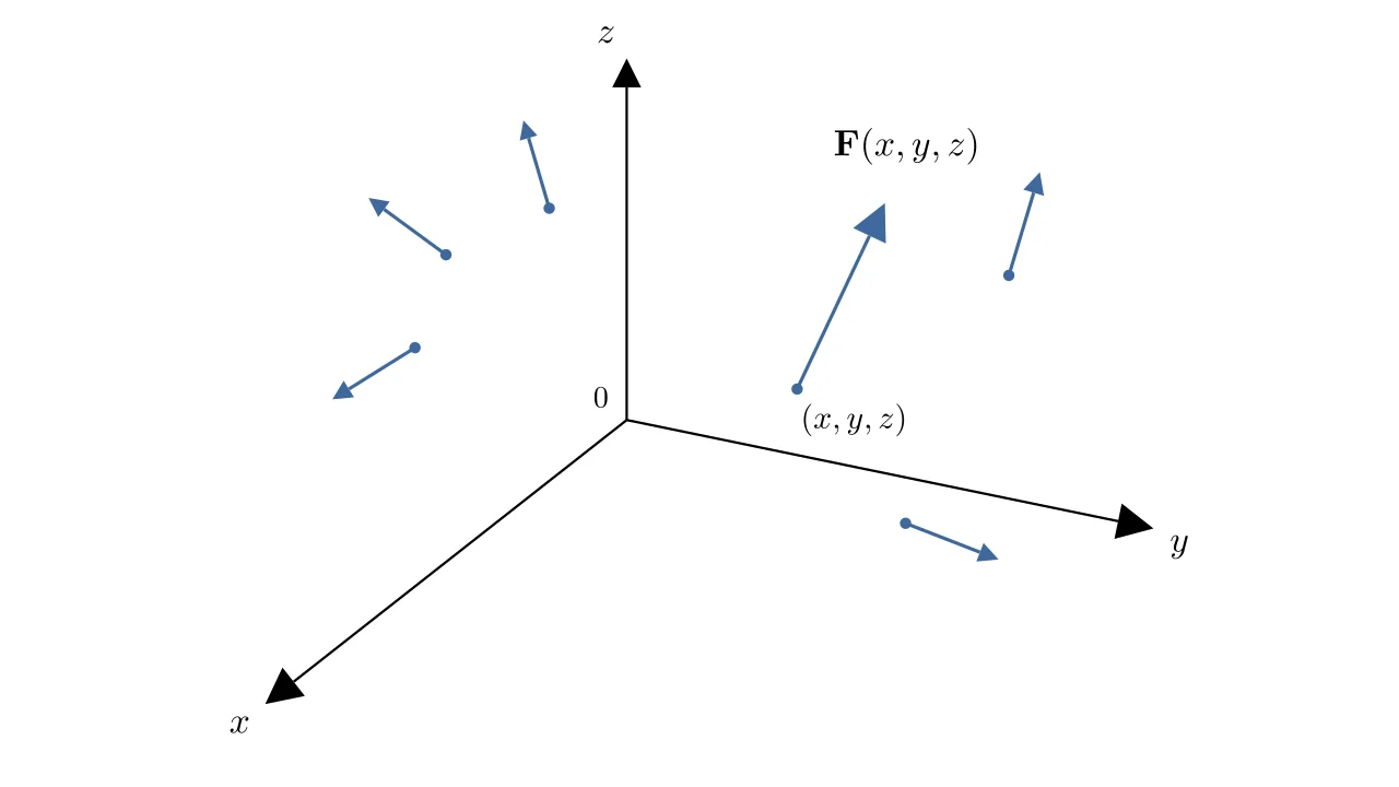 Vector Fields